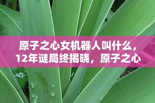 原子之心女机器人叫什么,12年谜局终揭晓,原子之心女机器人,为何让全球玩家泪目? 原子之心女机器人叫什么,12年谜局终揭晓,原子之心女机器人,为何让全球玩家泪目?