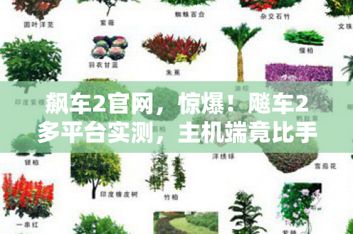 飙车2官网，惊爆！飚车2多平台实测，主机端竟比手游快37%？老玩家集体破防！