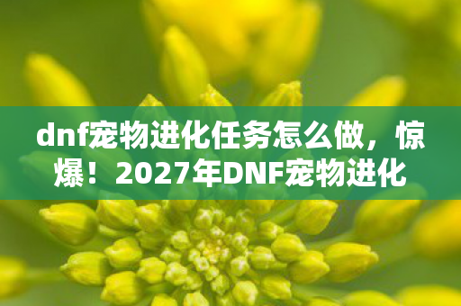 dnf宠物进化任务怎么做，惊爆！2027年DNF宠物进化任务竟藏着这等逆天秘密？