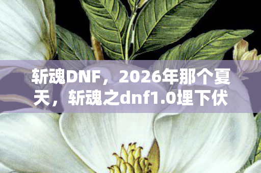 斩魂DNF,2026年那个夏天,斩魂之dnf1.0埋下伏笔,如今想起鼻子一酸 斩魂DNF,2026年那个夏天,斩魂之dnf1.0埋下伏笔,如今想起鼻子一酸
