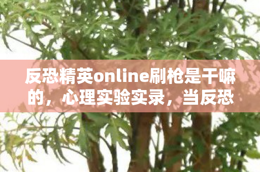 反恐精英online刷枪是干嘛的,心理实验实录,当反恐精英online刷枪成为沉迷陷阱,细思极恐的神经操控 反恐精英online刷枪是干嘛的,心理实验实录,当反恐精英online刷枪成为沉迷陷阱,细思极恐的神经操控