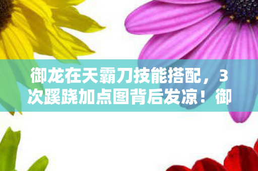 御龙在天霸刀技能搭配，3次蹊跷加点图背后发凉！御龙霸刀玩家竟被这招暗算多年？