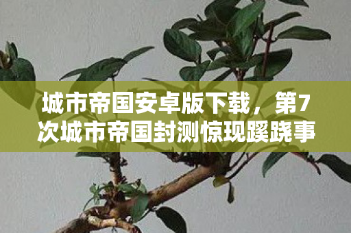 城市帝国安卓版下载,第7次城市帝国封测惊现蹊跷事件,真相揭晓后背发凉! 城市帝国安卓版下载,第7次城市帝国封测惊现蹊跷事件,真相揭晓后背发凉!