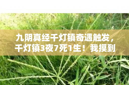 九阴真经千灯镇奇遇触发,千灯镇3夜7死1生!我摸到九阴真经隐藏命门,却差点被NPC逼疯 九阴真经千灯镇奇遇触发,千灯镇3夜7死1生!我摸到九阴真经隐藏命门,却差点被NPC逼疯