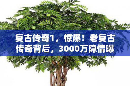 复古传奇1，惊爆！老复古传奇背后，3000万隐情曝光，真相让人吓一跳！