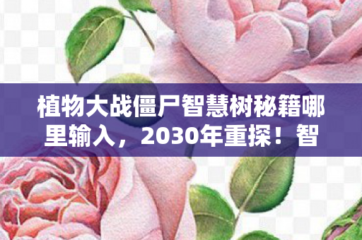 植物大战僵尸智慧树秘籍哪里输入，2030年重探！智慧树秘籍背后，竟藏着颠覆认知的终极真相？