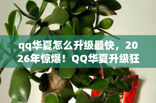 qq华夏怎么升级最快,2026年惊爆!QQ华夏升级狂飙竟藏这等玄机? qq华夏怎么升级最快,2026年惊爆!QQ华夏升级狂飙竟藏这等玄机?
