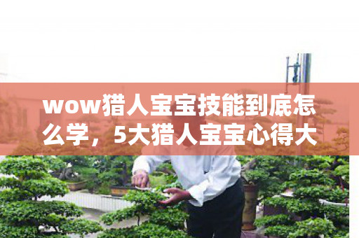 wow猎人宝宝技能到底怎么学，5大猎人宝宝心得大公开！新手必看避坑指南，少走弯路！