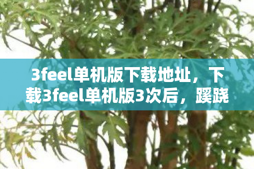 3feel单机版下载地址,下载3feel单机版3次后,蹊跷事件频发,后背发凉真相令人窒息! 3feel单机版下载地址,下载3feel单机版3次后,蹊跷事件频发,后背发凉真相令人窒息!