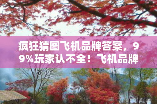 疯狂猜图飞机品牌答案,99%玩家认不全!飞机品牌猜谜王竟是失业机长?泪目真相曝光 疯狂猜图飞机品牌答案,99%玩家认不全!飞机品牌猜谜王竟是失业机长?泪目真相曝光