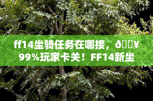 ff14坐骑任务在哪接,🔥99%玩家卡关!FF14新坐骑任务竟藏惊天反转?🐉 ff14坐骑任务在哪接,🔥99%玩家卡关!FF14新坐骑任务竟藏惊天反转?🐉