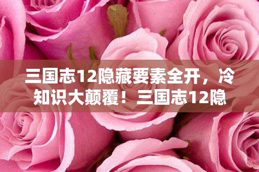 三国志12隐藏要素全开,冷知识大颠覆!三国志12隐藏要素竟让我目瞪口呆十年! 三国志12隐藏要素全开,冷知识大颠覆!三国志12隐藏要素竟让我目瞪口呆十年!