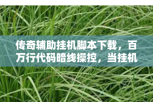 传奇辅助挂机脚本下载,百万行代码暗线操控,当挂机脚本撕开赛博世界的头皮发麻真相 传奇辅助挂机脚本下载,百万行代码暗线操控,当挂机脚本撕开赛博世界的头皮发麻真相