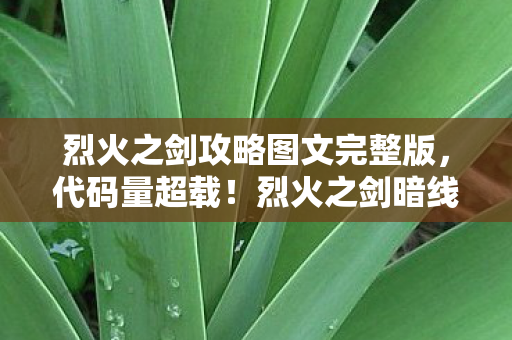 烈火之剑攻略图文完整版,代码量超载!烈火之剑暗线触发神经共振,玩家集体头皮发麻 烈火之剑攻略图文完整版,代码量超载!烈火之剑暗线触发神经共振,玩家集体头皮发麻