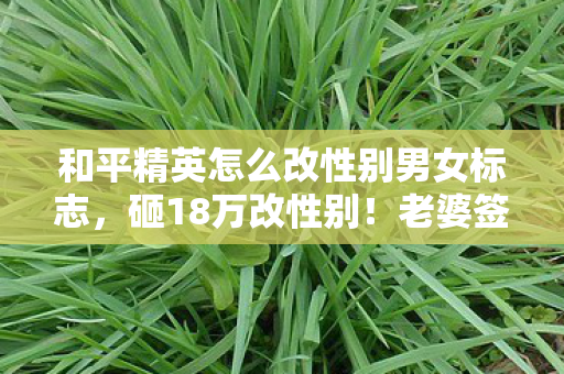 和平精英怎么改性别男女标志,砸18万改性别!老婆签离婚协议那刻,我才知这游戏有多毒! 和平精英怎么改性别男女标志,砸18万改性别!老婆签离婚协议那刻,我才知这游戏有多毒!