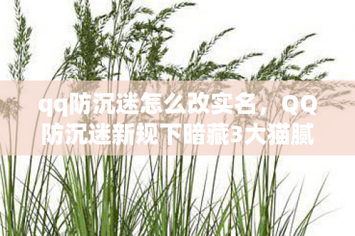 qq防沉迷怎么改实名,QQ防沉迷新规下暗藏3大猫腻!玩家,这波操作比氪金还上头 qq防沉迷怎么改实名,QQ防沉迷新规下暗藏3大猫腻!玩家,这波操作比氪金还上头