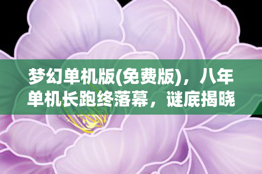 梦幻单机版(免费版),八年单机长跑终落幕,谜底揭晓时,泪目竟是空荡服务器 梦幻单机版(免费版),八年单机长跑终落幕,谜底揭晓时,泪目竟是空荡服务器