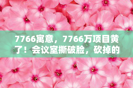 7766寓意,7766万项目黄了!会议室撕破脸,砍掉的玩法让玩家吓一跳 7766寓意,7766万项目黄了!会议室撕破脸,砍掉的玩法让玩家吓一跳