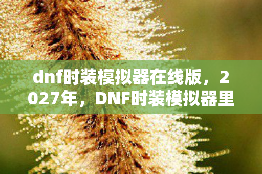 dnf时装模拟器在线版,2027年,DNF时装模拟器里藏着谁未说尽的别走,鼻子一酸终成永恒 dnf时装模拟器在线版,2027年,DNF时装模拟器里藏着谁未说尽的别走,鼻子一酸终成永恒