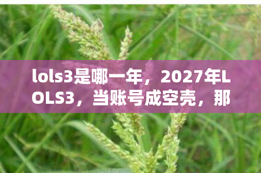 lols3是哪一年,2027年LOLS3,当账号成空壳,那些别走仍让鼻子一酸 lols3是哪一年,2027年LOLS3,当账号成空壳,那些别走仍让鼻子一酸