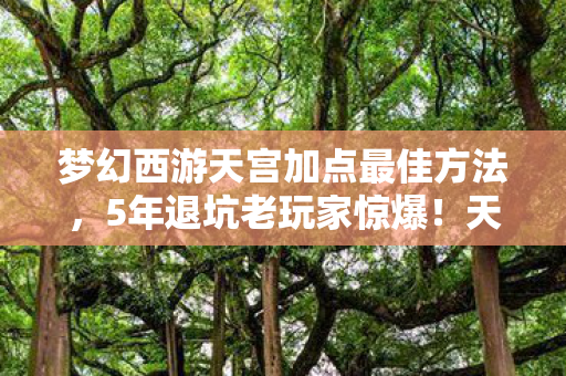 梦幻西游天宫加点最佳方法,5年退坑老玩家惊爆!天宫加点3大反转,2027竟成最强流派? 梦幻西游天宫加点最佳方法,5年退坑老玩家惊爆!天宫加点3大反转,2027竟成最强流派?