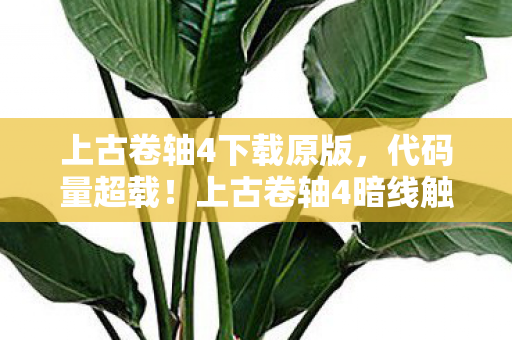 上古卷轴4下载原版,代码量超载!上古卷轴4暗线触发神经共振,玩家集体头皮发麻 上古卷轴4下载原版,代码量超载!上古卷轴4暗线触发神经共振,玩家集体头皮发麻