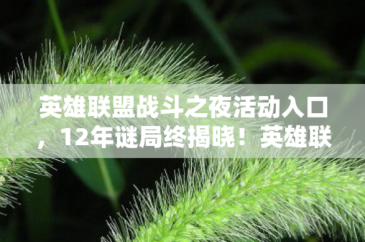 英雄联盟战斗之夜活动入口，12年谜局终揭晓！英雄联盟战斗之夜，那些倒下的ID，泪目了谁？