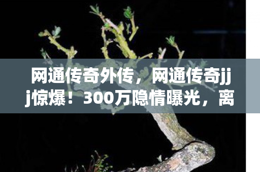 网通传奇外传，网通传奇jjj惊爆！300万隐情曝光，离职老兵拍桌怒吼，这操作吓我一跳！