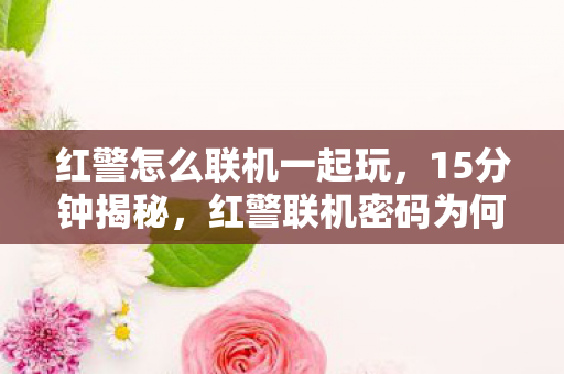 红警怎么联机一起玩，15分钟揭秘，红警联机密码为何2030年仍被破译？泪目真相在此