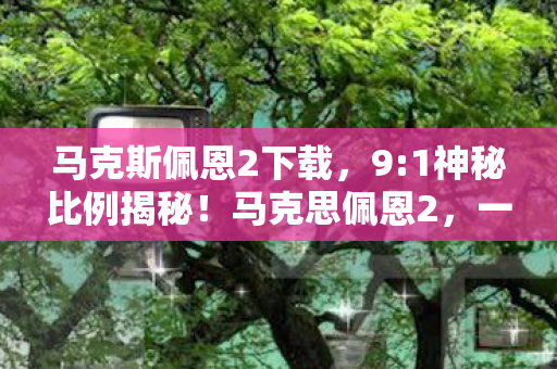 马克斯佩恩2下载，9:1神秘比例揭秘！马克思佩恩2，一场扎心到骨的孤独狂欢