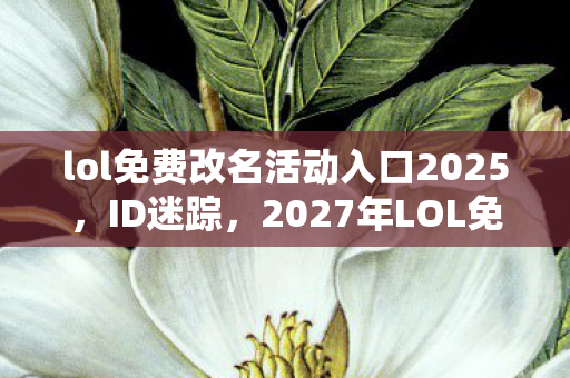 lol免费改名活动入口2025，ID迷踪，2027年LOL免费改名暗夜悬案，谁在操控你的游戏人生？