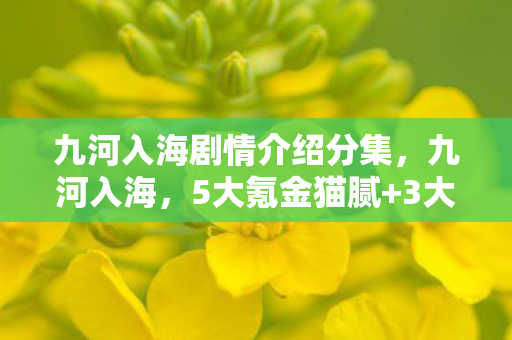 九河入海剧情介绍分集，九河入海，5大氪金猫腻+3大伪创新，这波操作太上头！