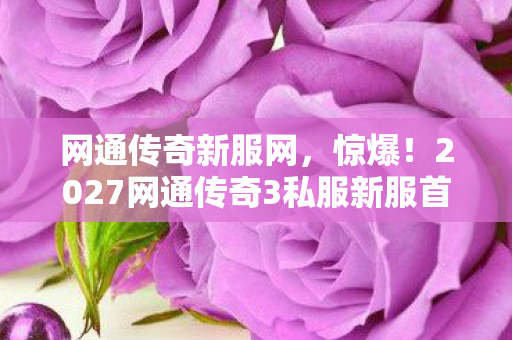 网通传奇新服网,惊爆!2027网通传奇3私服新服首曝,老玩家集体泪崩真相竟是…… 网通传奇新服网,惊爆!2027网通传奇3私服新服首曝,老玩家集体泪崩真相竟是……