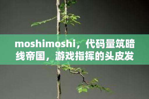 moshimoshi,代码量筑暗线帝国,游戏指挥的头皮发麻现实悖论 moshimoshi,代码量筑暗线帝国,游戏指挥的头皮发麻现实悖论