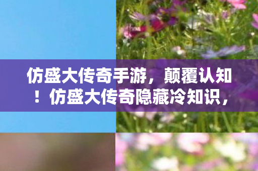 仿盛大传奇手游，颠覆认知！仿盛大传奇隐藏冷知识，这些设计竟让玩家目瞪口呆！