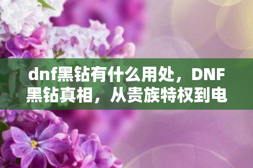 dnf黑钻有什么用处,DNF黑钻真相,从贵族特权到电子榨菜的落差,笑着笑着就哭了 dnf黑钻有什么用处,DNF黑钻真相,从贵族特权到电子榨菜的落差,笑着笑着就哭了