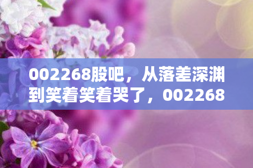 002268股吧,从落差深渊到笑着笑着哭了,002268游戏真相,骂完还得回来挨刀? 002268股吧,从落差深渊到笑着笑着哭了,002268游戏真相,骂完还得回来挨刀?
