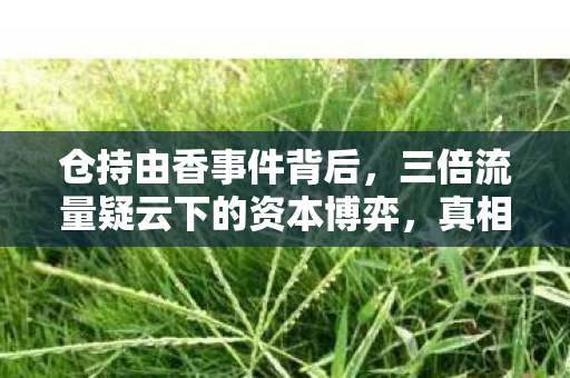 仓持由香事件背后，三倍流量疑云下的资本博弈，真相令人心寒