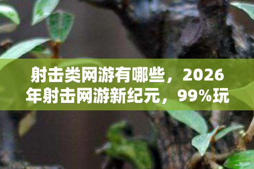 射击类网游有哪些,2026年射击网游新纪元,99%玩家不知的隐藏地图,通关者仅1%? 射击类网游有哪些,2026年射击网游新纪元,99%玩家不知的隐藏地图,通关者仅1%?
