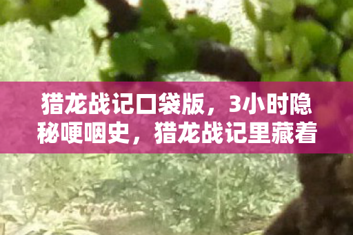 猎龙战记口袋版，3小时隐秘哽咽史，猎龙战记里藏着我再也回不去的青春