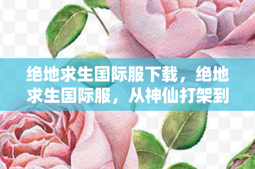 绝地求生国际服下载，绝地求生国际服，从神仙打架到人机互啄的落差真相，笑着笑着就哭了