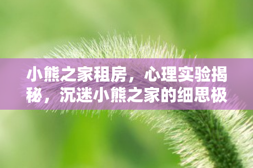 小熊之家租房，心理实验揭秘，沉迷小熊之家的细思极恐自我麻醉之旅