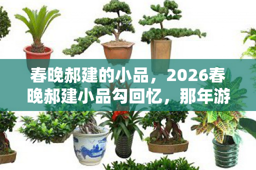 春晚郝建的小品,2026春晚郝建小品勾回忆,那年游戏旧情,伏笔藏泪,鼻子一酸 春晚郝建的小品,2026春晚郝建小品勾回忆,那年游戏旧情,伏笔藏泪,鼻子一酸