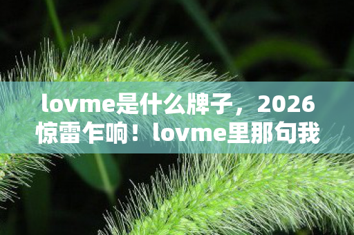 lovme是什么牌子，2026惊雷乍响！lovme里那句我扛竟成绝响，鼻子一酸才懂