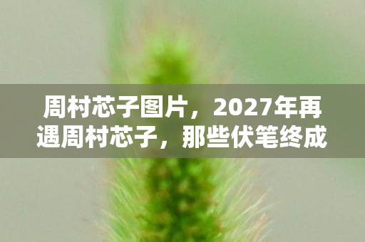 周村芯子图片，2027年再遇周村芯子，那些伏笔终成遗憾，回忆起竟鼻子一酸