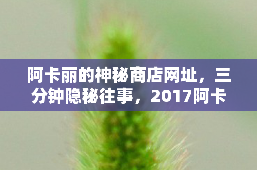 阿卡丽的神秘商店网址，三分钟隐秘往事，2017阿卡丽商店的哽咽，是青春最后的回响