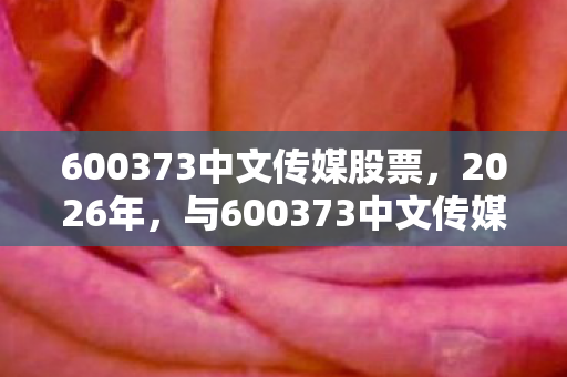 600373中文传媒股票，2026年，与600373中文传媒的邂逅，伏笔成殇，鼻子一酸忆往昔