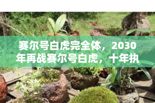 赛尔号白虎完全体,2030年再战赛尔号白虎,十年执念,竟揭开游戏最残酷真相! 赛尔号白虎完全体,2030年再战赛尔号白虎,十年执念,竟揭开游戏最残酷真相!