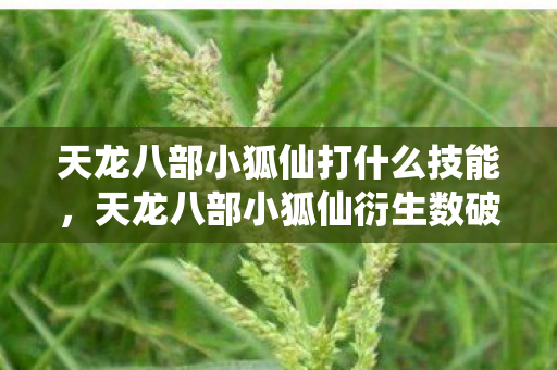 天龙八部小狐仙打什么技能,天龙八部小狐仙衍生数破圈!跨界联名玩出意想不到新花样 天龙八部小狐仙打什么技能,天龙八部小狐仙衍生数破圈!跨界联名玩出意想不到新花样