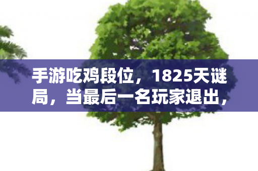 手游吃鸡段位,1825天谜局,当最后一名玩家退出,服务器为何仍在燃烧? 手游吃鸡段位,1825天谜局,当最后一名玩家退出,服务器为何仍在燃烧?